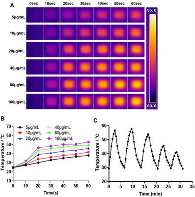 Functionalized Organic–Inorganic Liposome Nanocomposites for the Effective Photo-Thermal Therapy of Breast Cancer